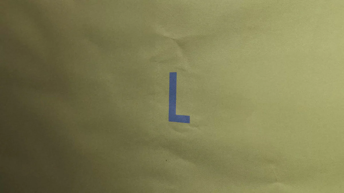 Sculptural Elegance, Masterfully Crafted